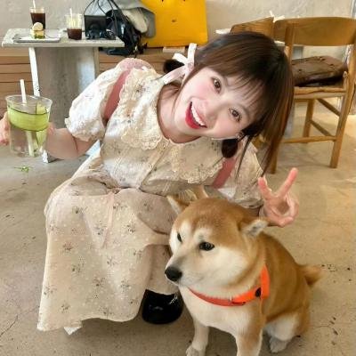 索命连线